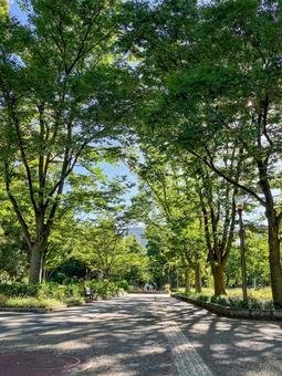 🌳 우쓰보 공원 이미지 7